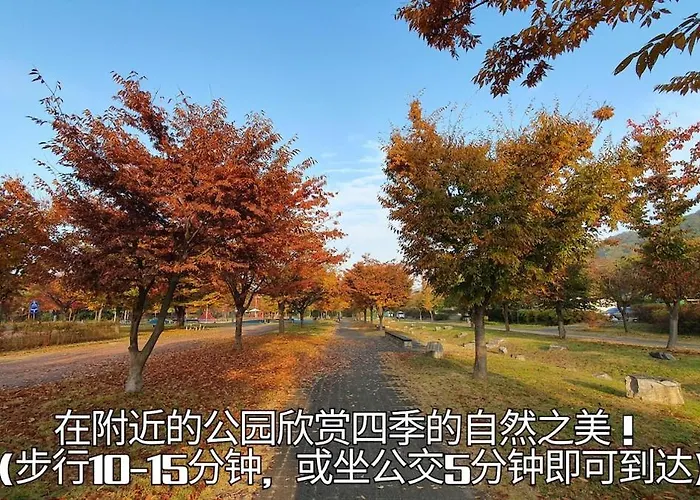 Opening Sale, Free Luggage Storage, 6 Person, 1f, Private House Seoel